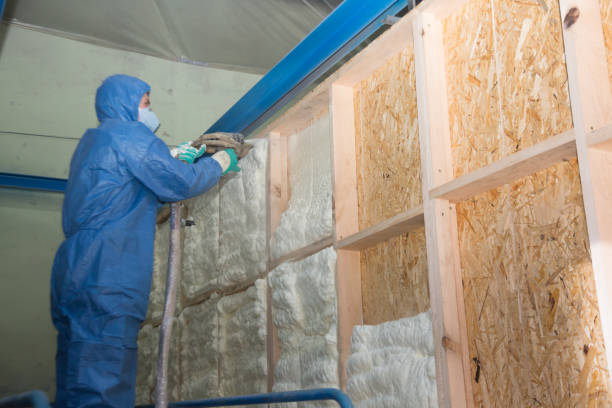 Best Insulation for New Construction  in Hayesville, OR